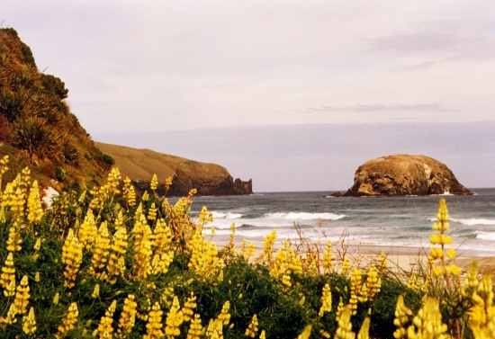 Otago Peninsula